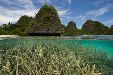 Raja Ampat Islands Sea